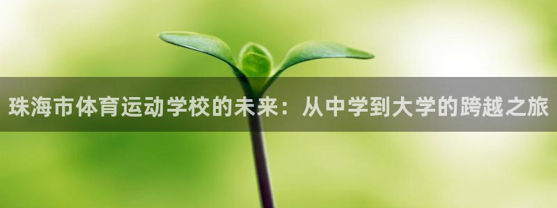 JJB竞技宝官网下载平台