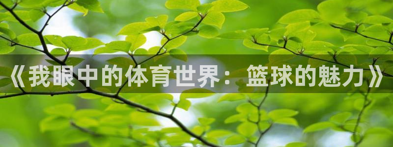 JJB竞技宝官方正版app娱乐代理怎么样