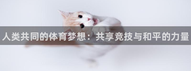 JJB竞技宝官网下载招商电话地址