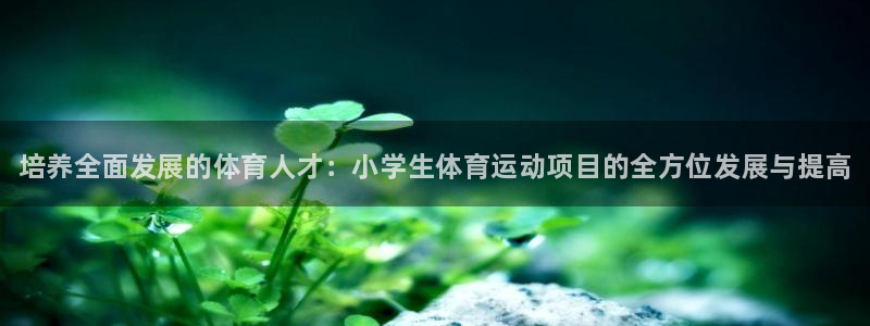 海南JJB竞技宝官网下载发展怎么样：培养全面发展的体