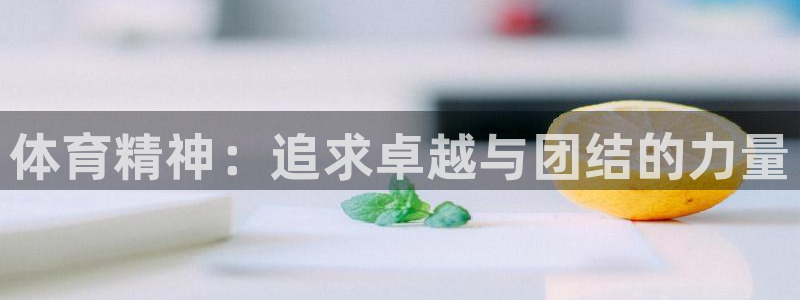 JJB竞技宝官方正版app集团logo：体育精神：追
