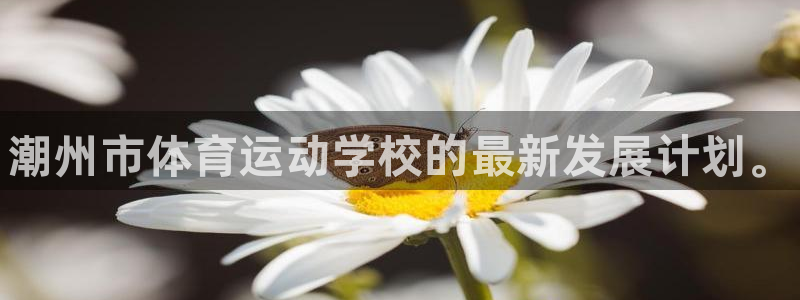 JJB竞技宝官方正版app集团官网网址