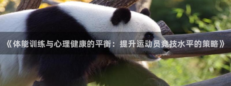注册JJB竞技宝官方正版app：《体能训练与心理健康