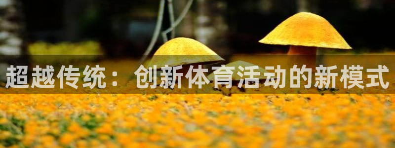 JJB竞技宝官网下载招商电话是多少号码：超越传统：创新体育活