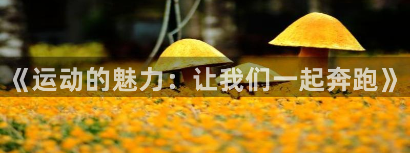 JJB竞技宝官网下载招商电话地址：《运动的魅力：让我们一起奔
