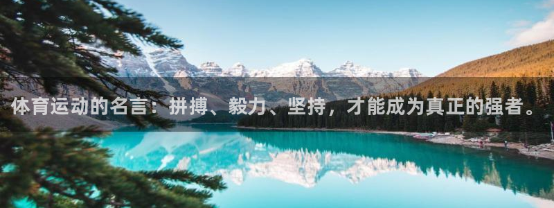 JJB竞技宝官方正版app集团官网首页