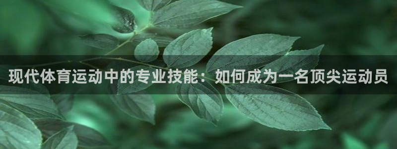 JJB竞技宝官方正版app集团官网首页网址