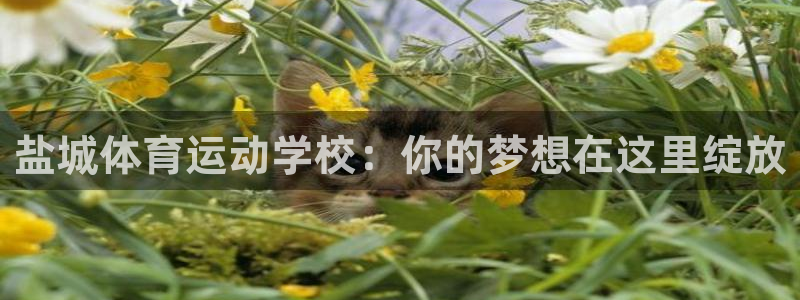 JJB竞技宝官网下载招商：盐城体育运动学校：你的梦想在这里绽