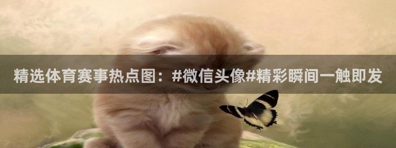 海南JJB竞技宝官网下载发展怎么样：精选体育赛事热点