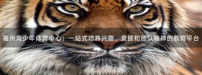 JJB竞技宝官网下载招商电话地址查询：福州青少年体育