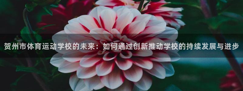 JJB竞技宝官方正版app娱乐首页网站大全：贺州市体