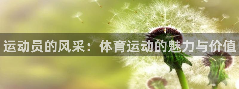 JJB竞技宝官方平台体育