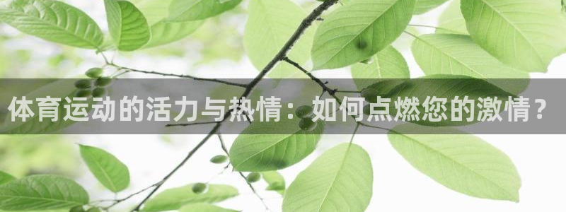 JJB竞技宝官网下载平台是正规平台吗安全吗：体育运动的活力与