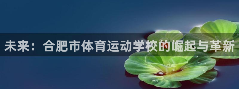 JJB竞技宝官方正版app集团官网首页网址